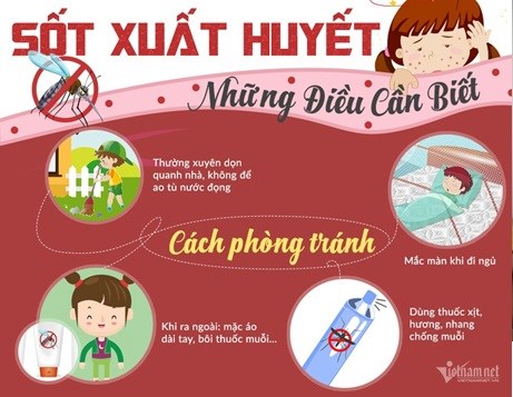 Phòng chống bệnh sốt xuất huyết